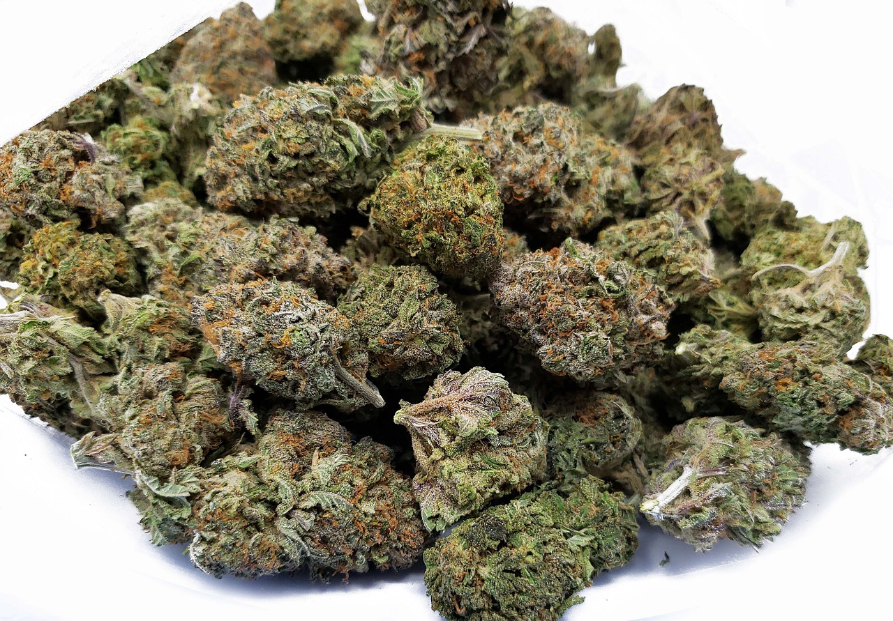 מה אומר החוק בהקשר של מכירת CBD?